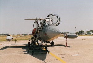 IMG (6)213